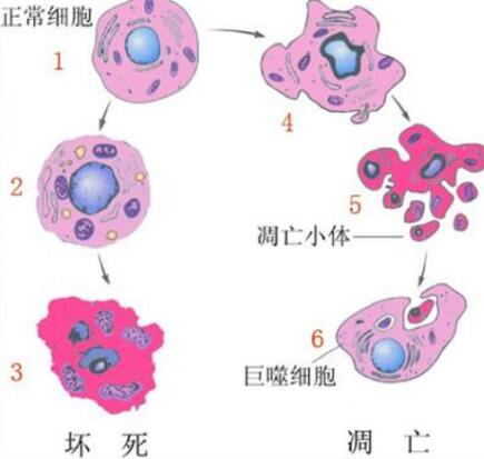 QQ截图20180330133658.jpg